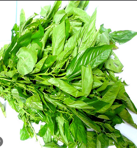 Fresh Ewedu Leaves
