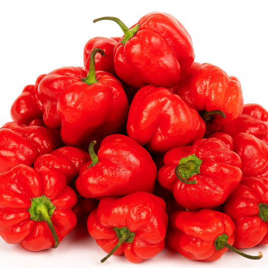 Fresh Scotch Bonnet Peppers