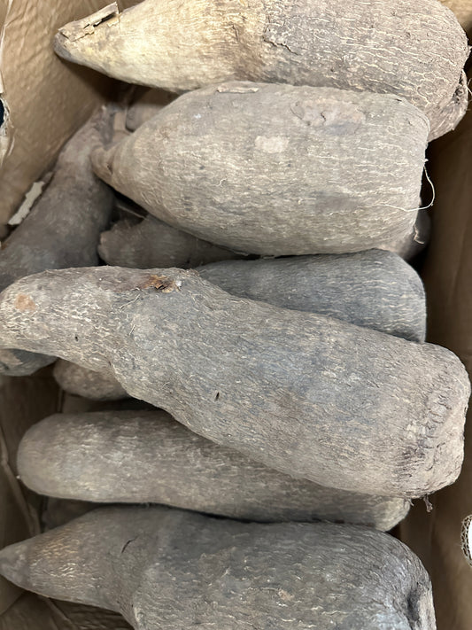 Fresh White Nigerian Yam