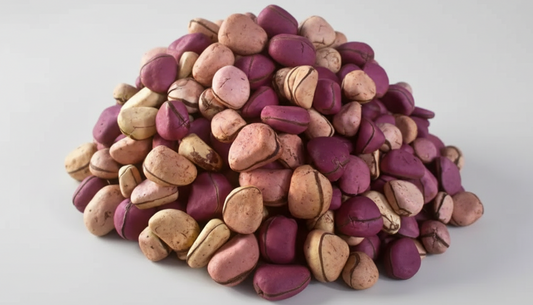 Pile of African Kola nut on a light gray background